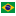 Brazil Flag