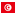 Tunisia Flag